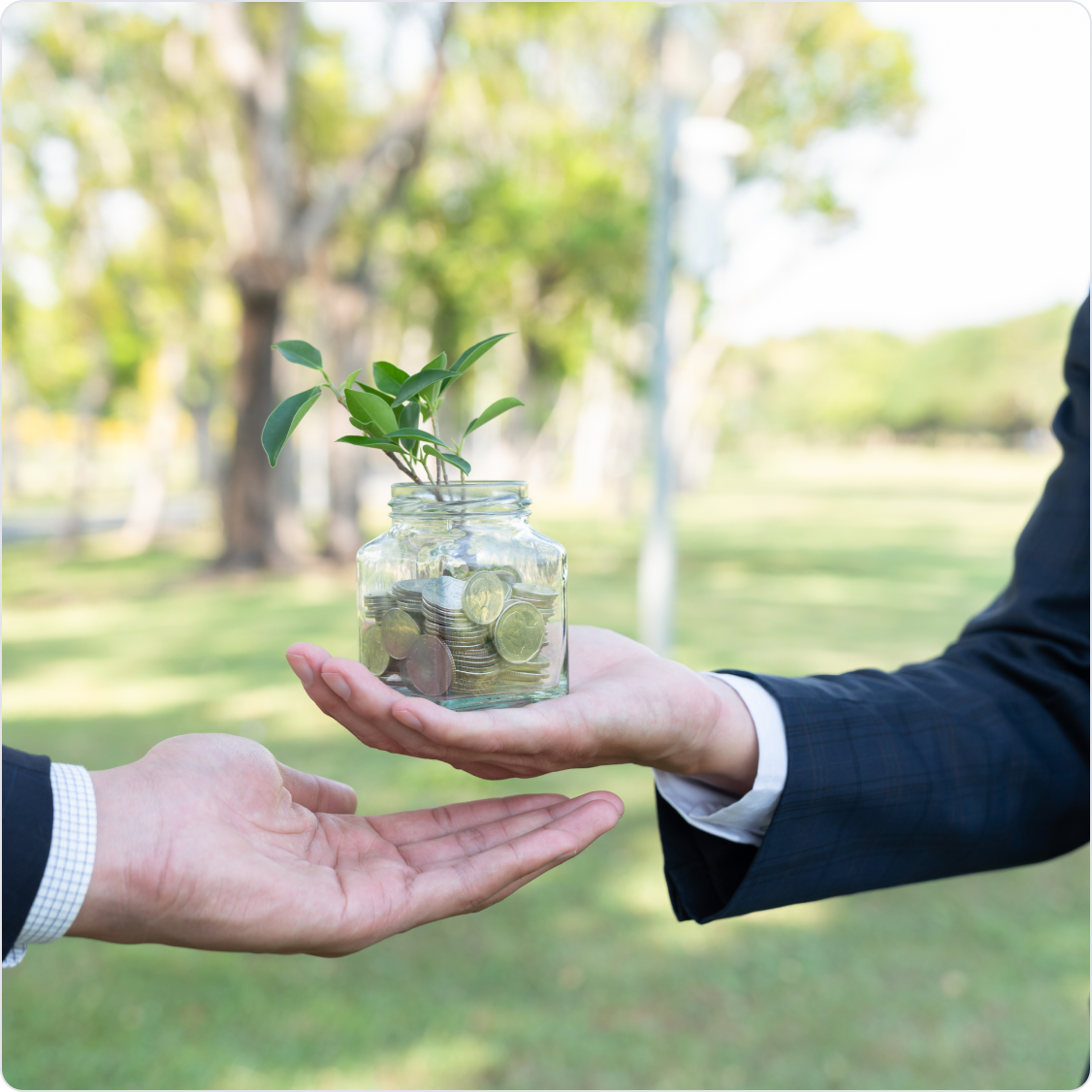 지속 가능한 건강 투자 가치