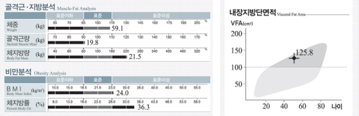 골격근ㆍ지방ㆍ비만 분석을 위한 결과지 화면