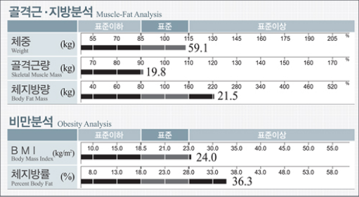 골격근·지방, 비만 분석을 위한 결과지 화면