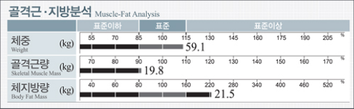 골격근ㆍ지방ㆍ비만 분석을 위한 결과지 화면