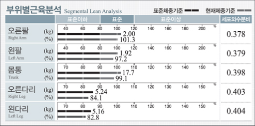부위별 근육 분석을 위한 결과지 화면