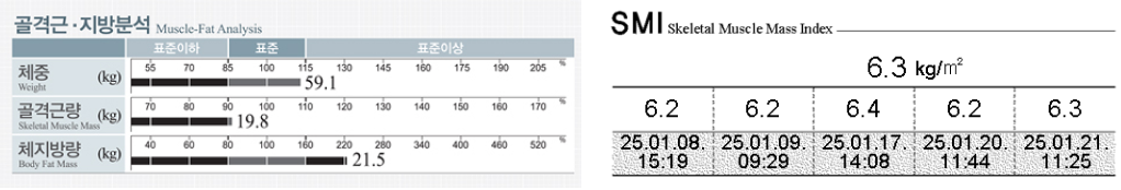 골격근·지방, 근감소증 분석을 위한 결과지 화면