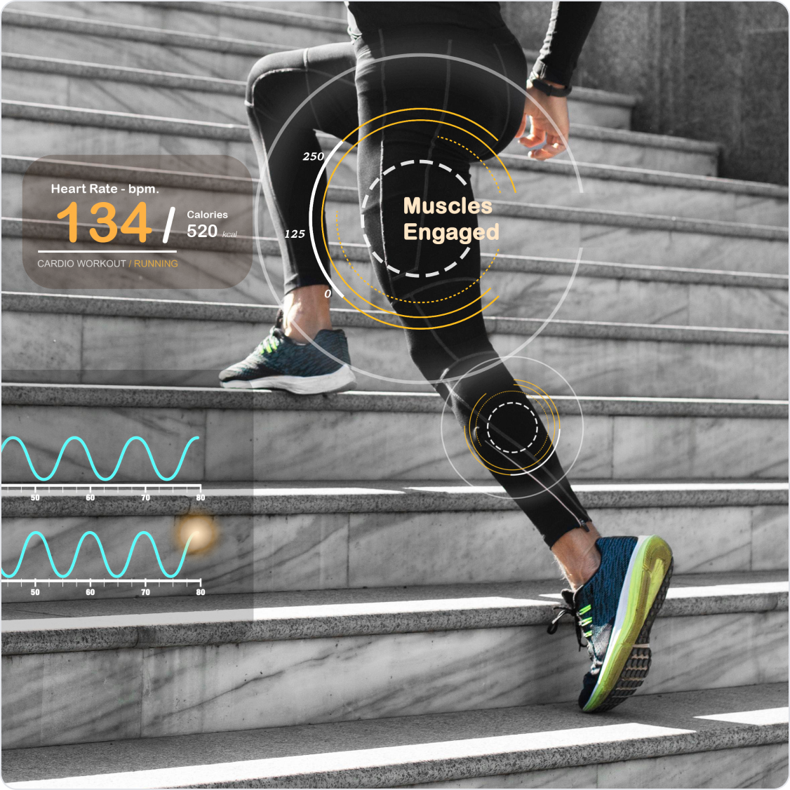 퍼포먼스 중심 운동 전략 수립