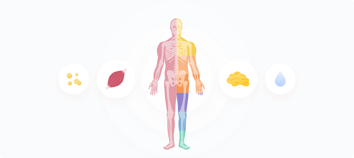 체성분이란 무엇일까요?