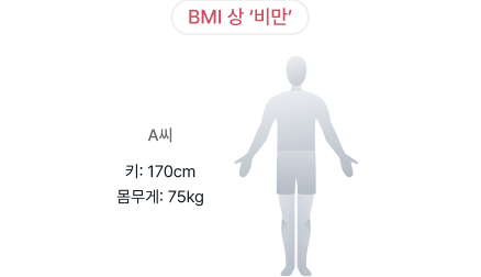 BMI 상 비만