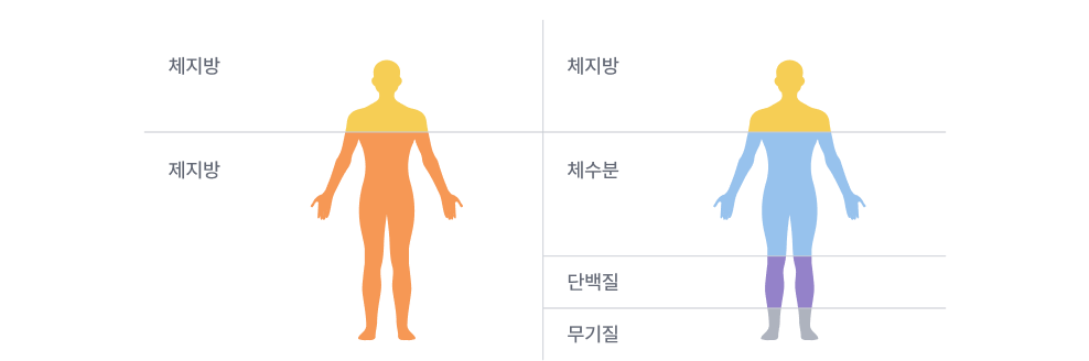 체성분 구분 방법