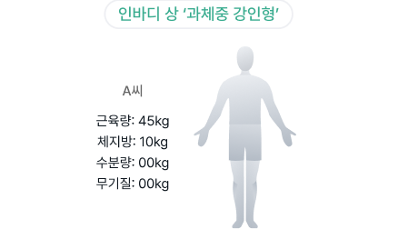 인바디 상 과체중 강인형
