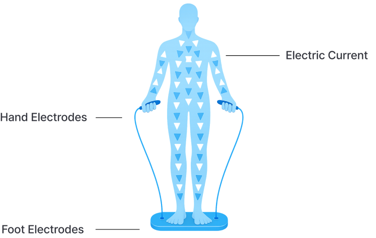 bia 기술을 아시나요?
