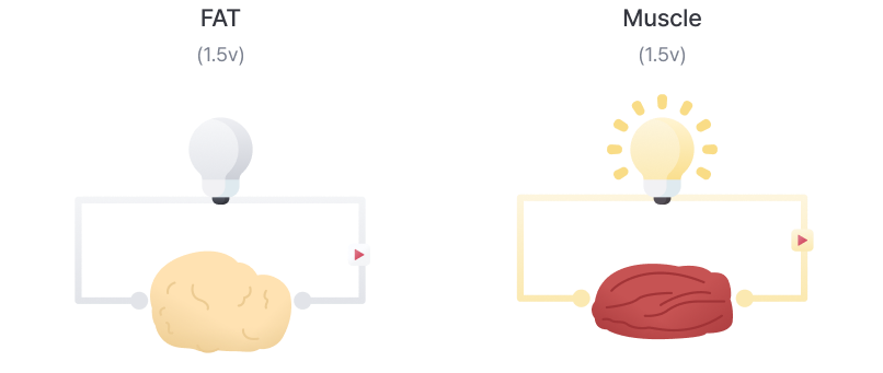 BIA의 기본 원리