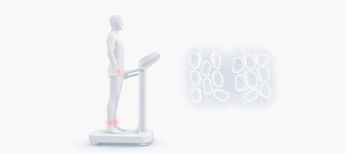 인바디 검사 왜 해야 할까요?