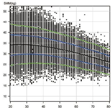 빅데이터 기반 연령별 체성분 평가 기술