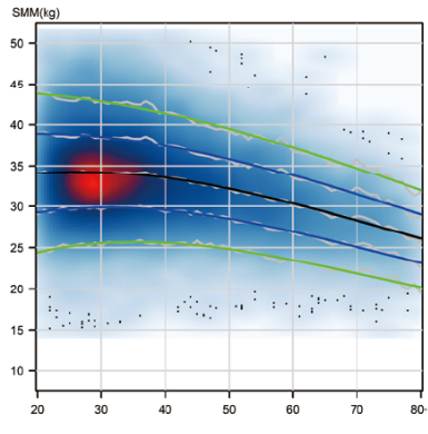 빅데이터 기반 연령별 체성분 평가 기술