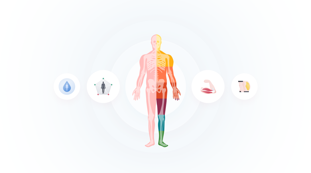 우리 몸의 체성분 구성