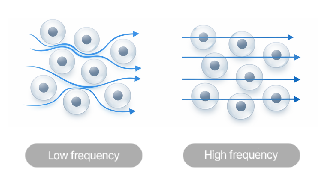 생체 전기 저항 분석법의 원리